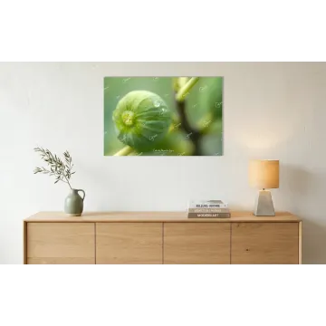 Dolcezza Inaspettata: Geometrie di Rugiada