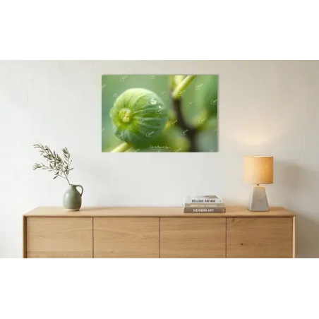 Dolcezza Inaspettata: Geometrie di Rugiada