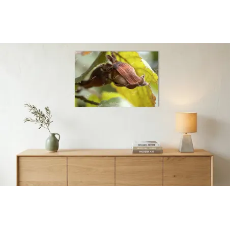 Anima di Lignite: La Nocciola tra i Boschi Bellunesi