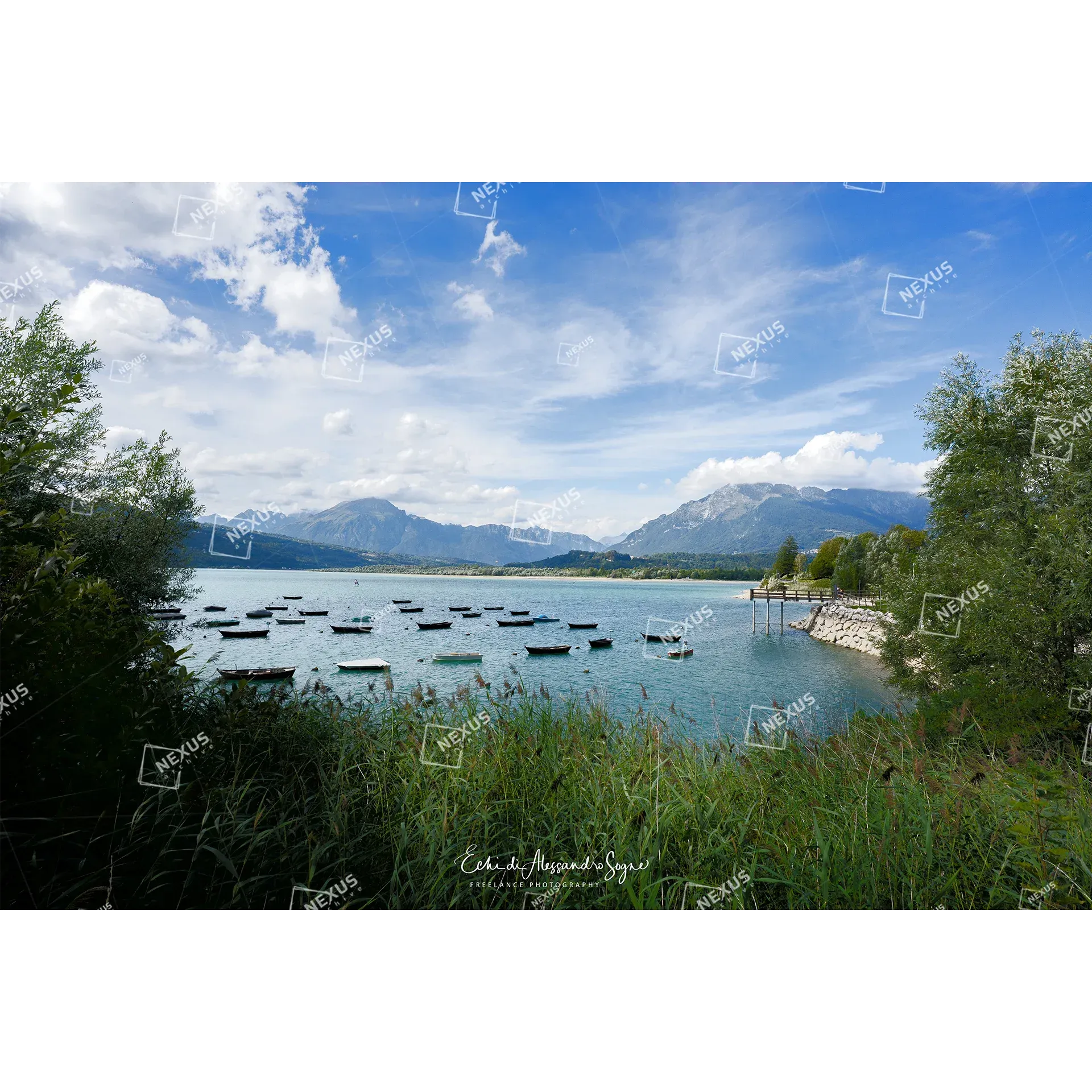 Finestra sul Lago: Trame di Giunchi e Barche