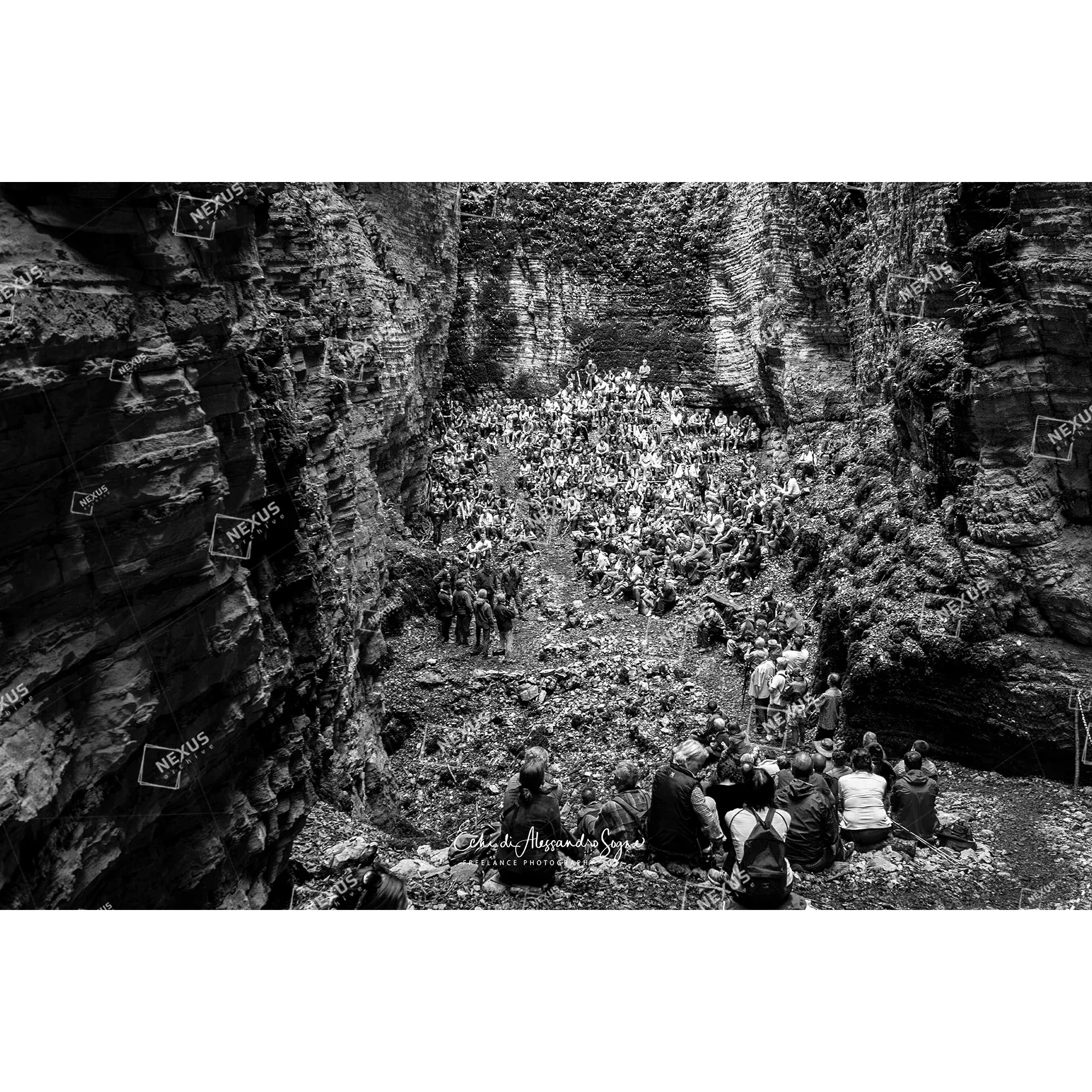L'Eco del Silenzio: Sinfonia Sotterranea nel Cuore del Buson