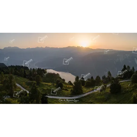 Smeraldo e Nebbie Sottili: Magia di Mattino