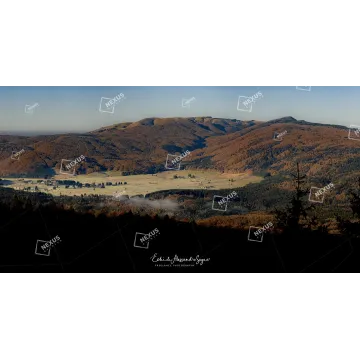 L'Alba Dipinta: Cornice di Pini, Cuore d'Oro