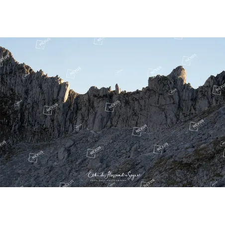 Scolpite dalla Luce