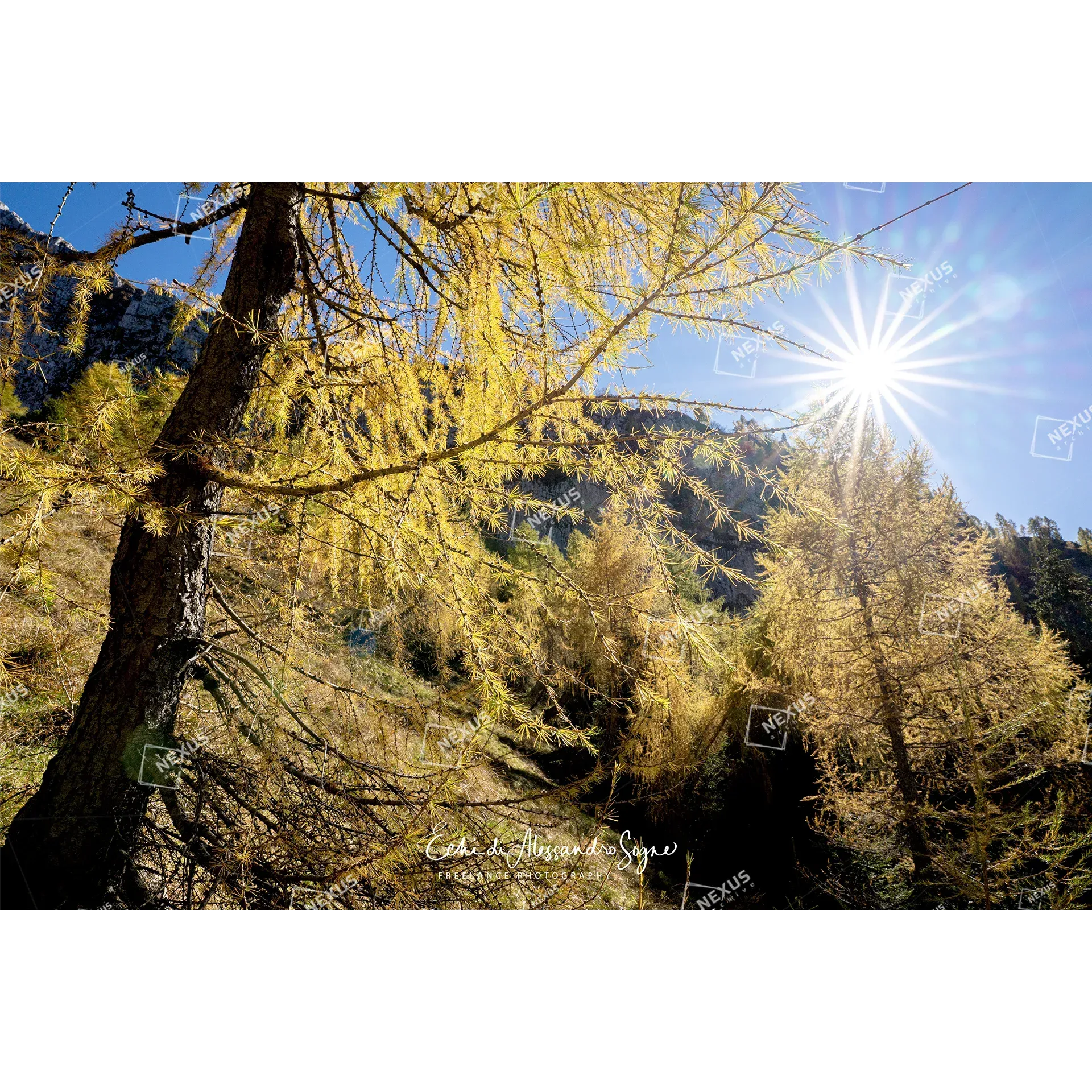 Oro di Luce nel Cuore dell’Alpago