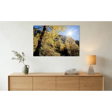 Oro di Luce nel Cuore dell’Alpago