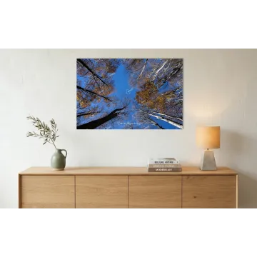 L'Ultimo Respiro d'Oro