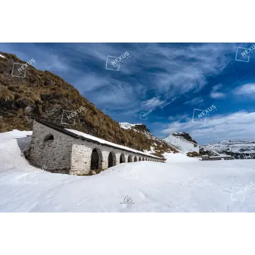 Echi d'Estate nel Silenzio Bianco: I Piani Eterni