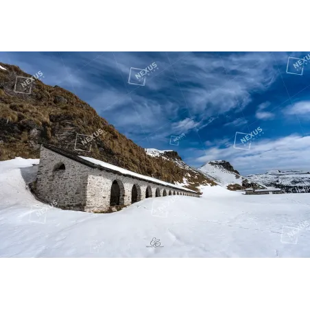 Echi d'Estate nel Silenzio Bianco: I Piani Eterni