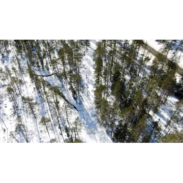Linee di Coraggio: La Dobbiaco-Cortina dall'Alto