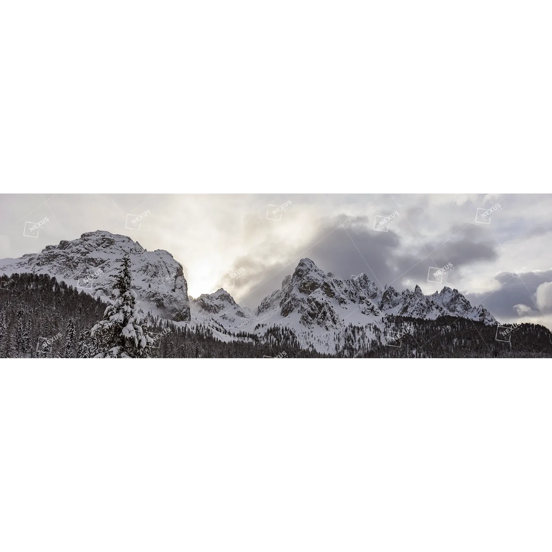 L’Inverno Dinamico