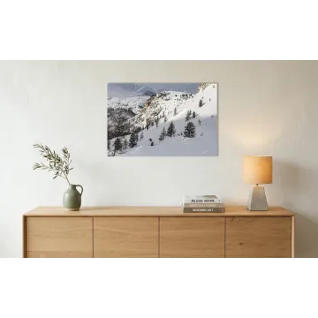 La Via della Luce – Strada per Malga Rinbianco