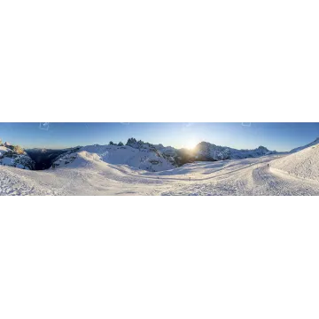 Guglie nella Neve