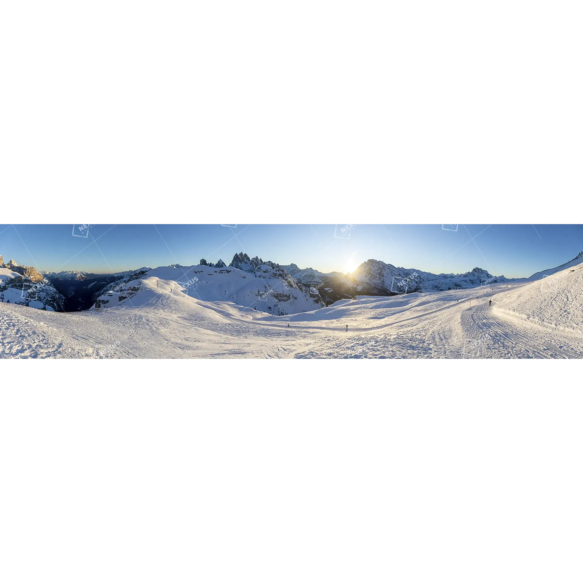 Guglie nella Neve