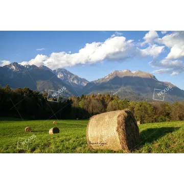 L’Anfiteatro del Bellunese – Dal Bosco delle Castagne