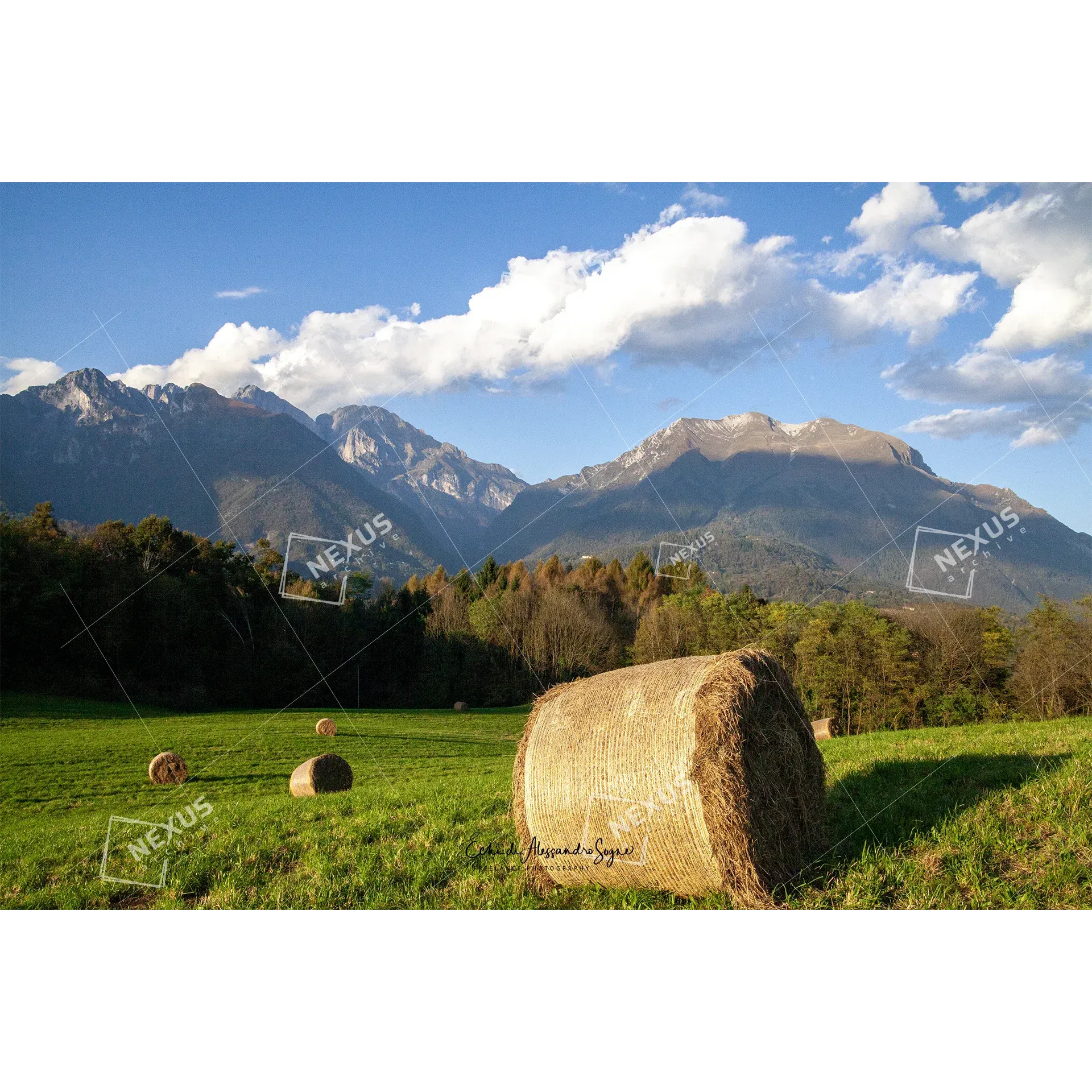 L’Anfiteatro del Bellunese – Dal Bosco delle Castagne