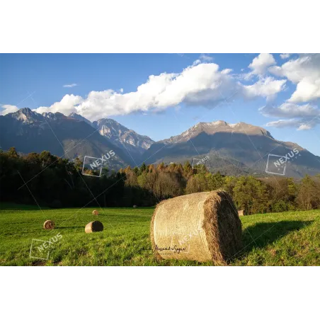L’Anfiteatro del Bellunese – Dal Bosco delle Castagne