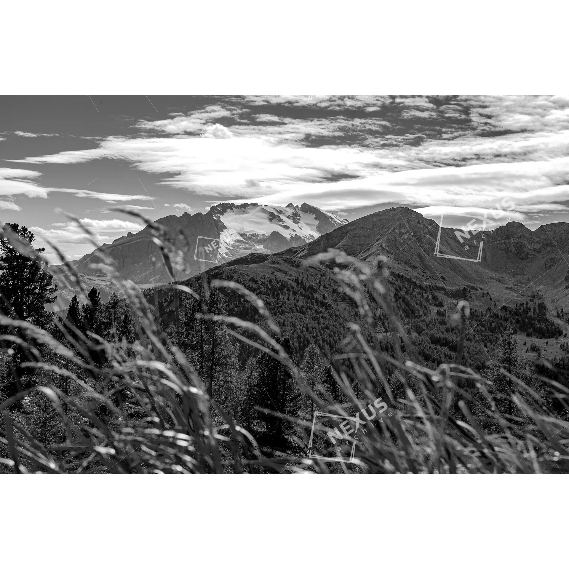Eco di Roccia e Tempo