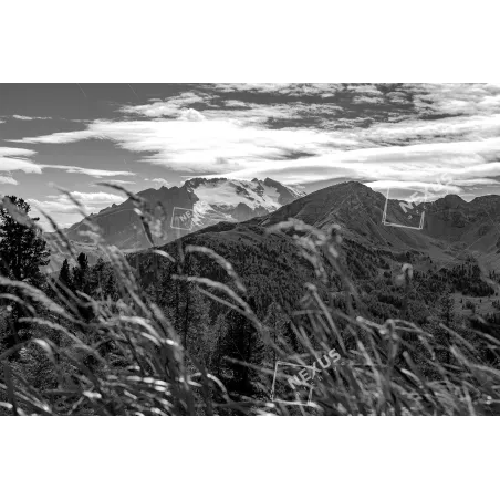 Eco di Roccia e Tempo