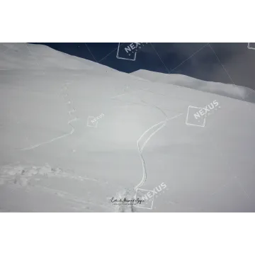 Il Silenzio della Neve