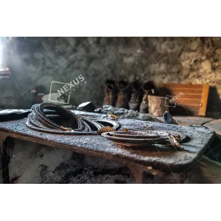 Il Raggio della Memoria – Monte Terne