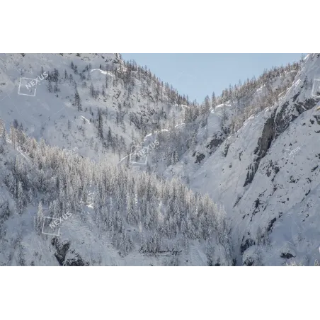 Silenzio di Pietra e Neve – Le Vette di Sappada