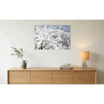 Tracce di Primavera: Rami Innevati a Case Bortot